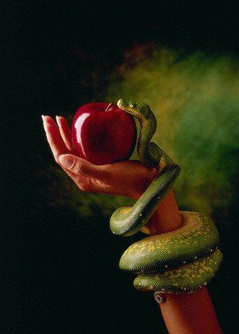 The Garden of Eden