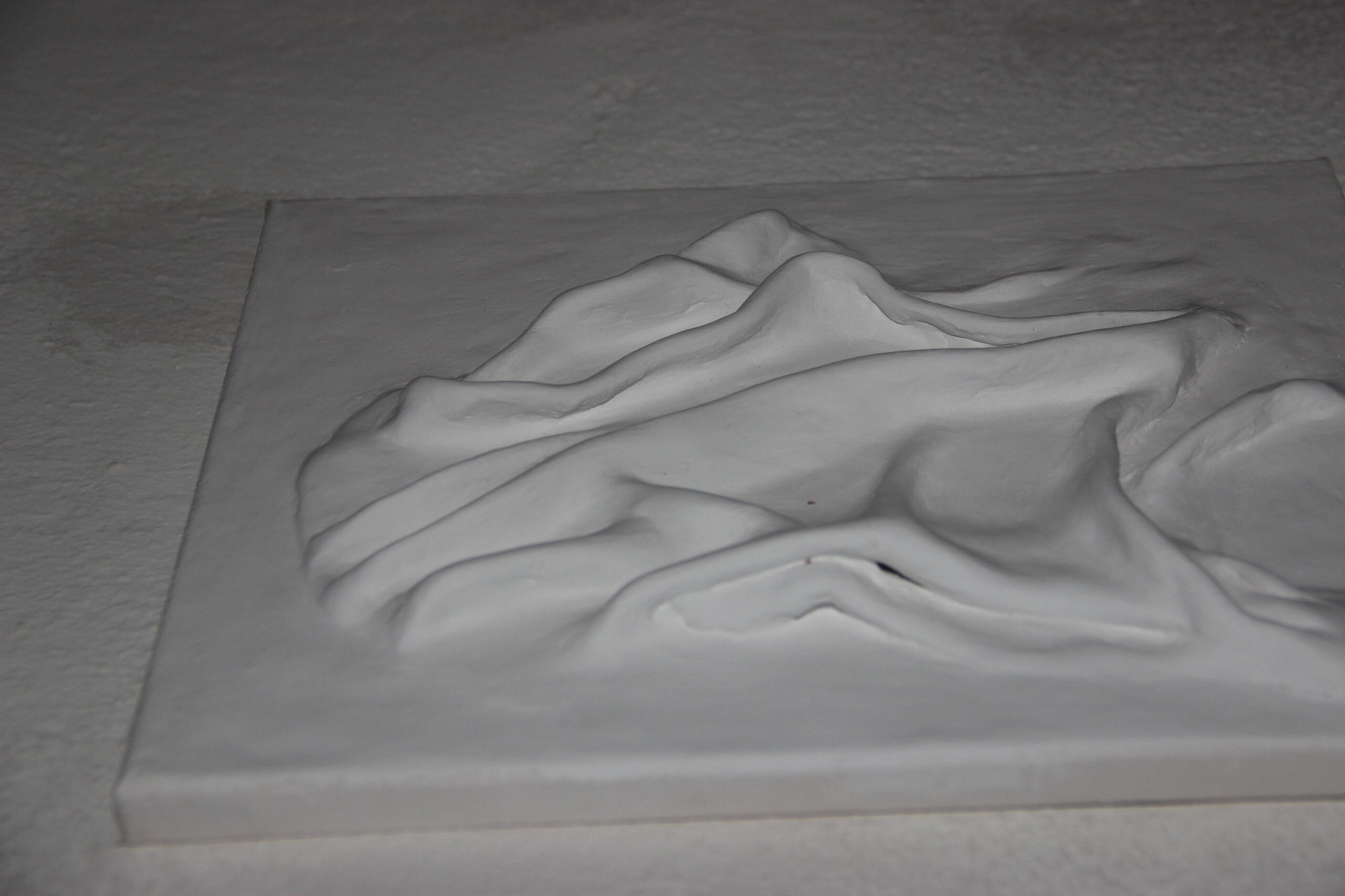 Multiforme - clay, plaster, glue, acrylics